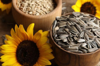 Sunflower Seeds