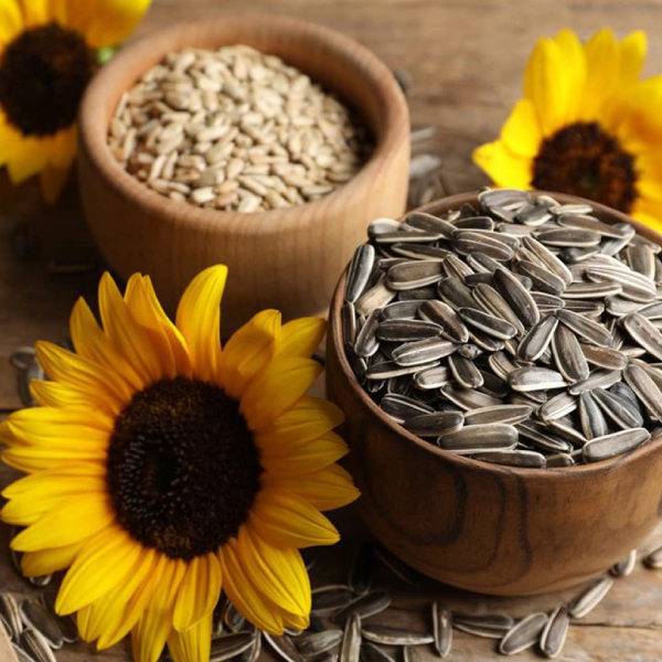 Sunflower Seeds